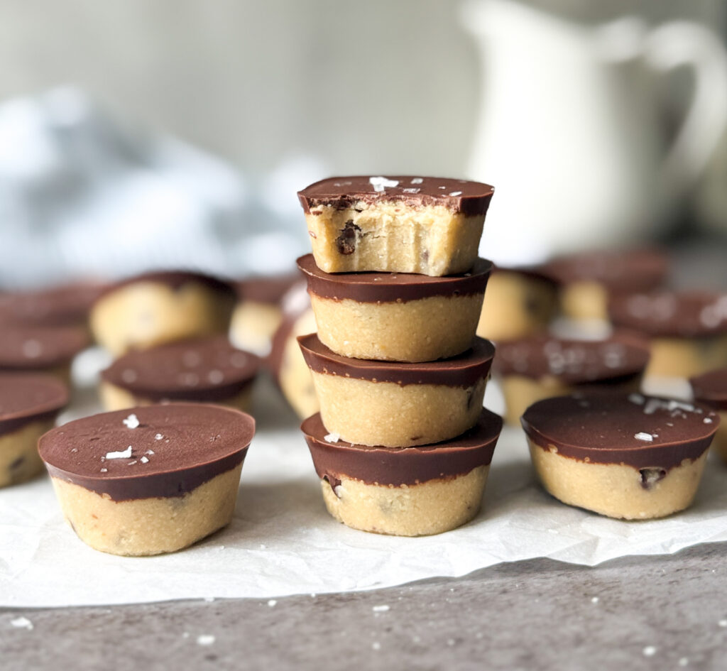 no bake cookie protein bites
