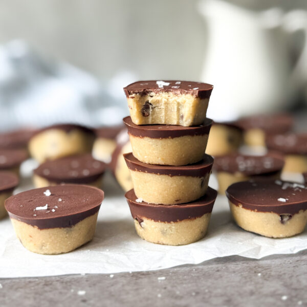 no bake cookie protein bites