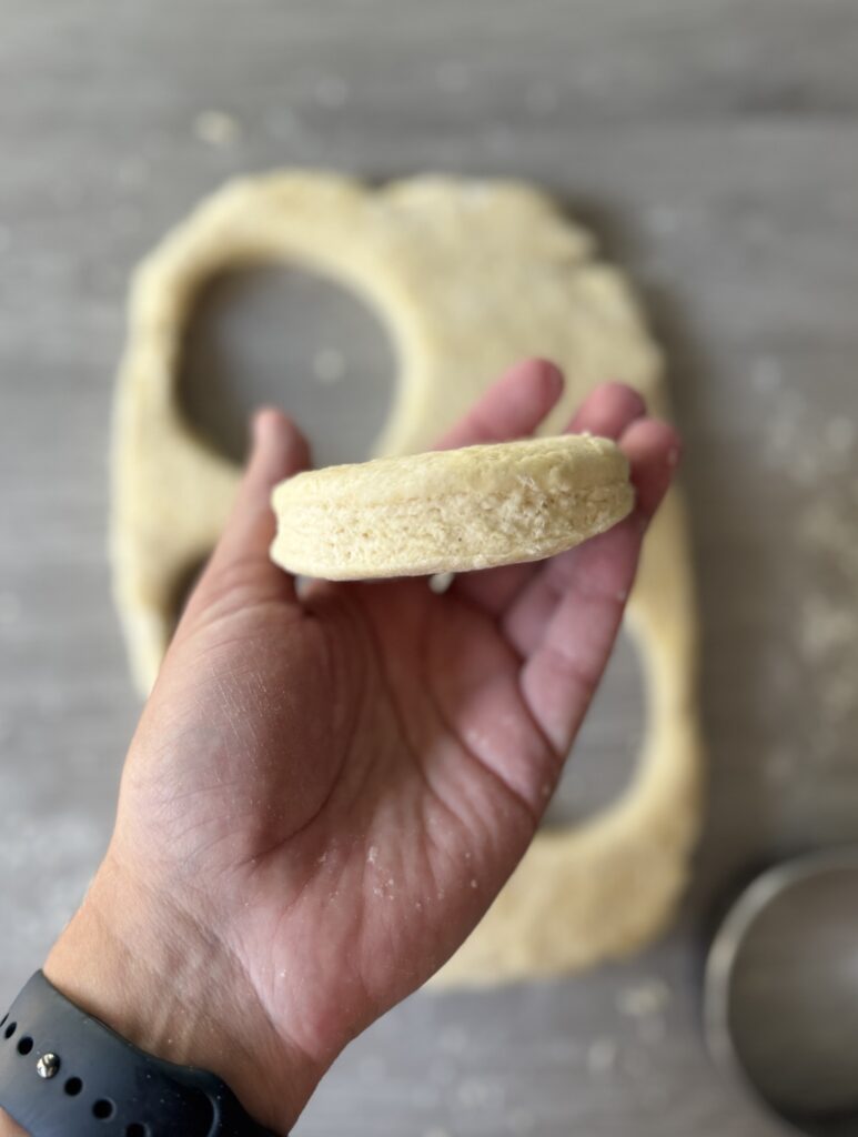 sourdough biscuit dough