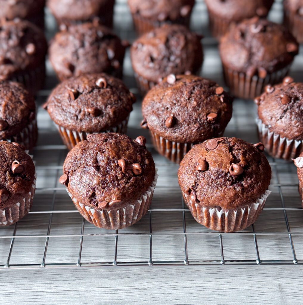 baked chocolate donut muffins