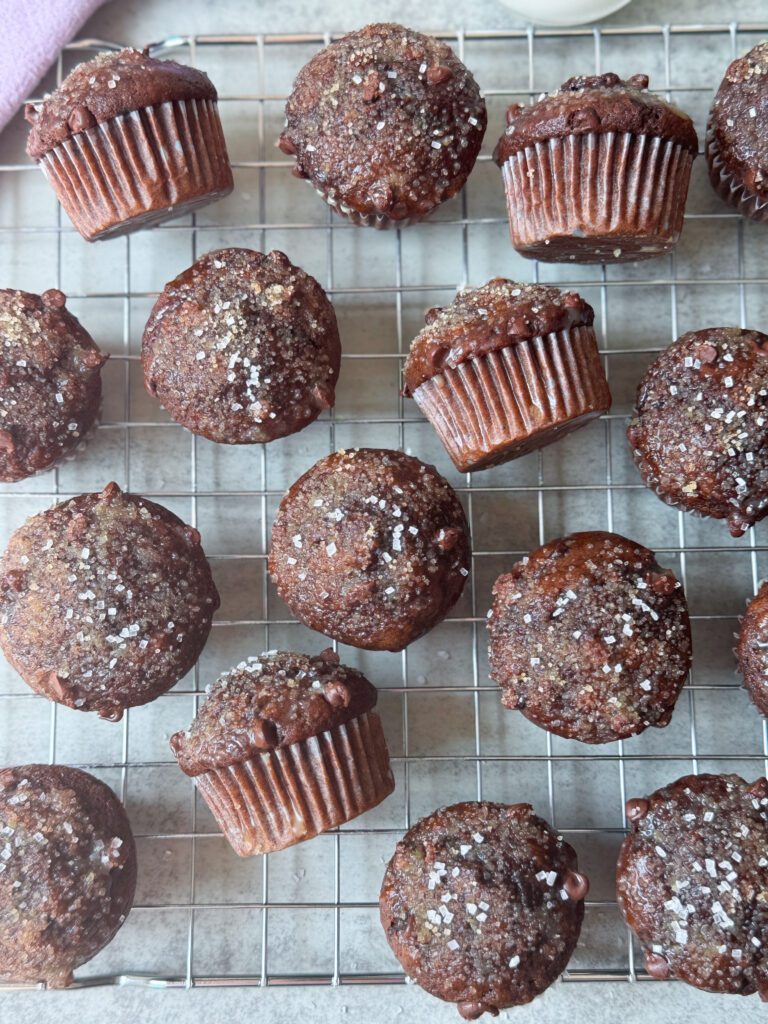 chocolate sourdough donut muffins