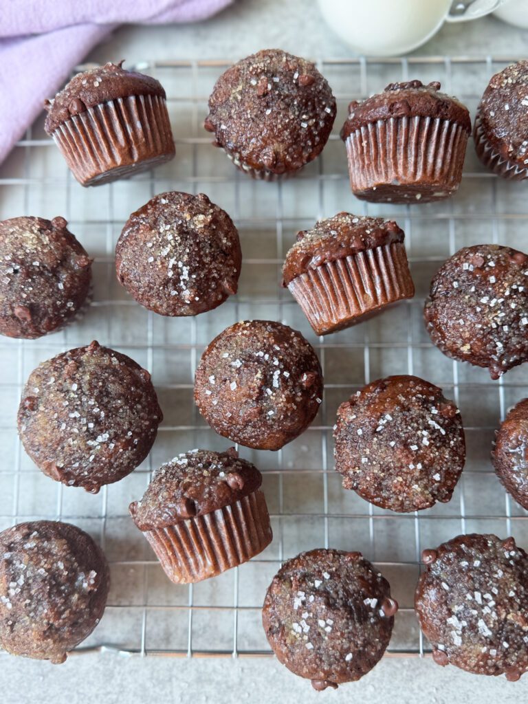 chocolate sourdough donut muffins