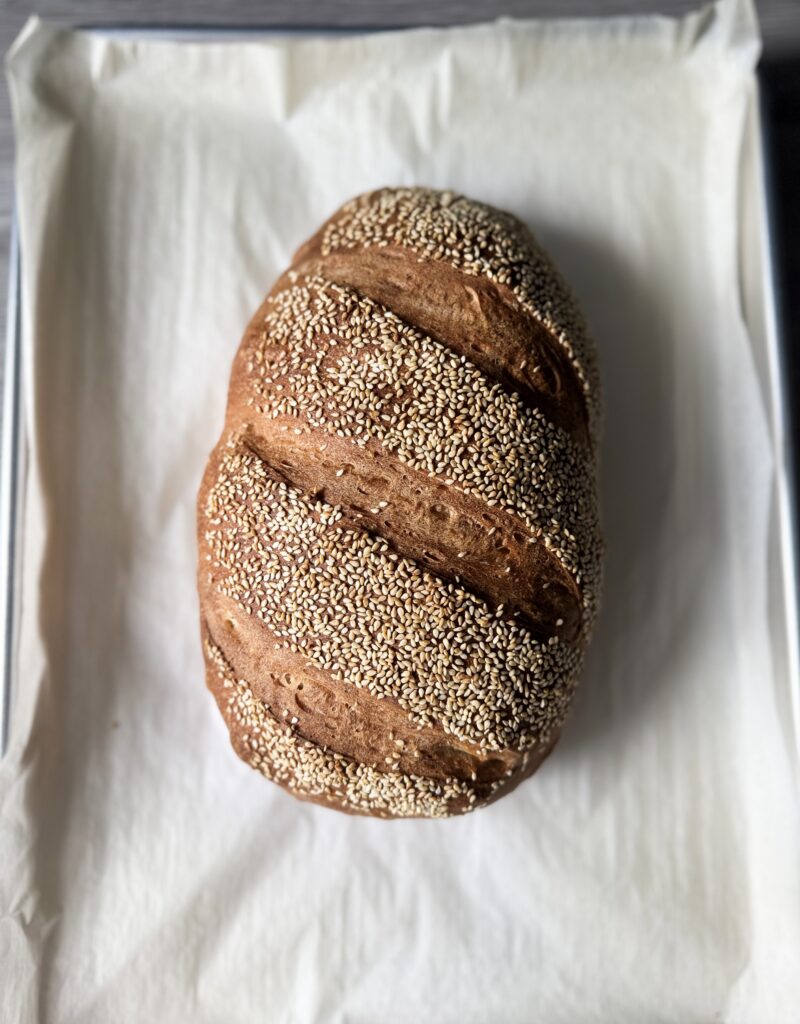 baked discard Italian bread