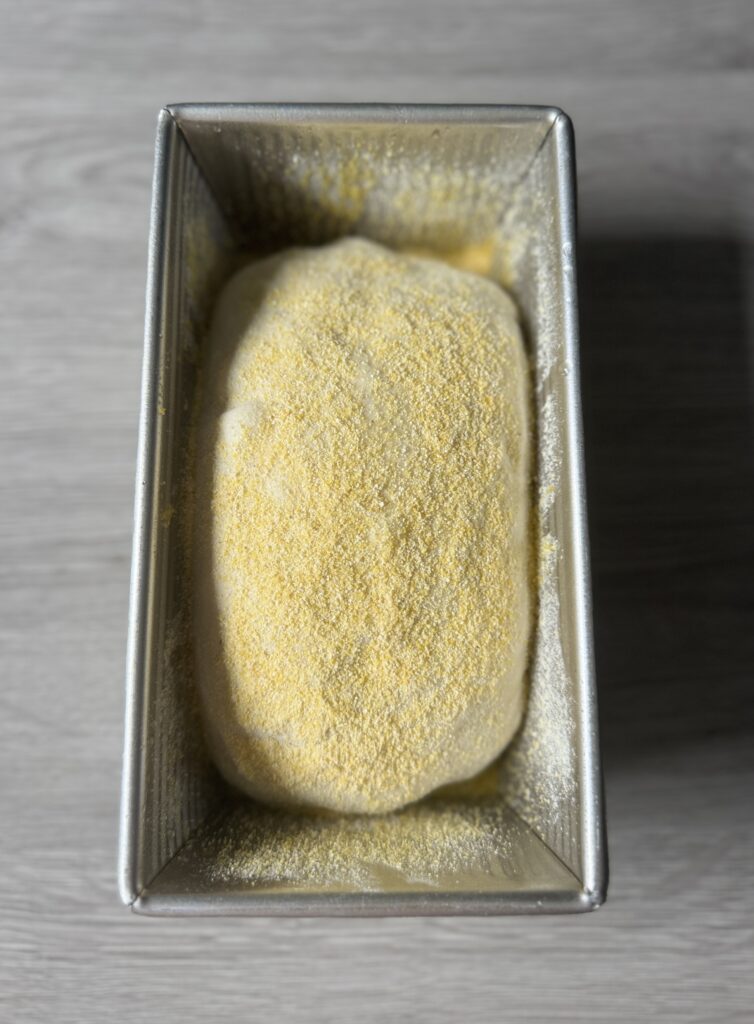 shaping English muffin bread