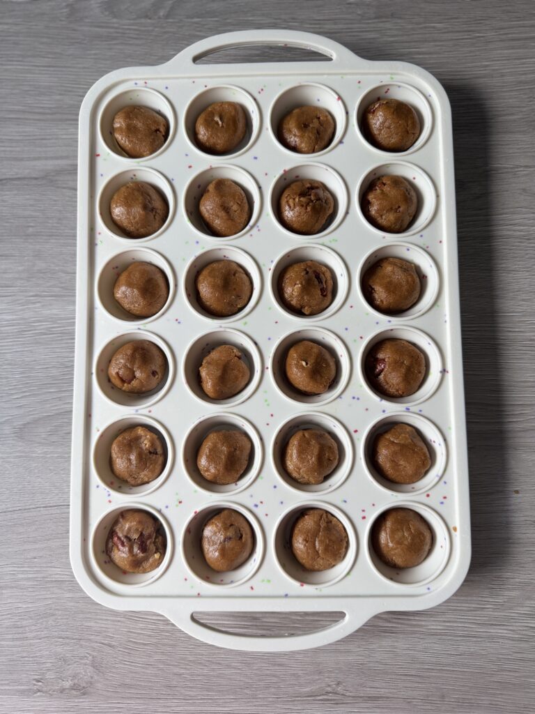 pumpkin protein bites