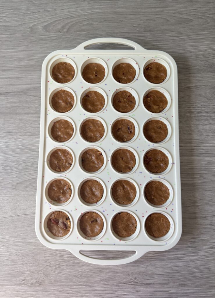pumpkin protein bites